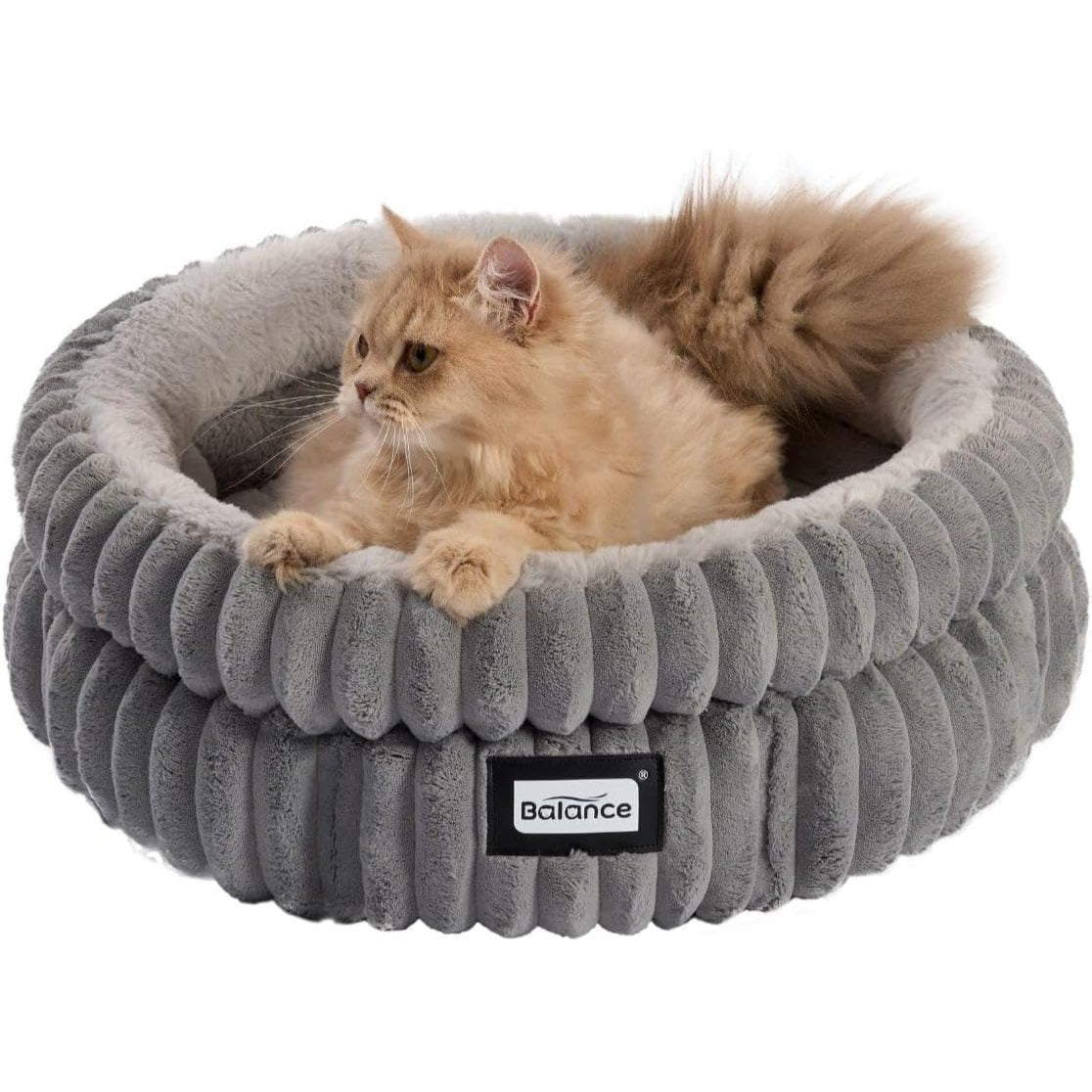 Round Cat Beds