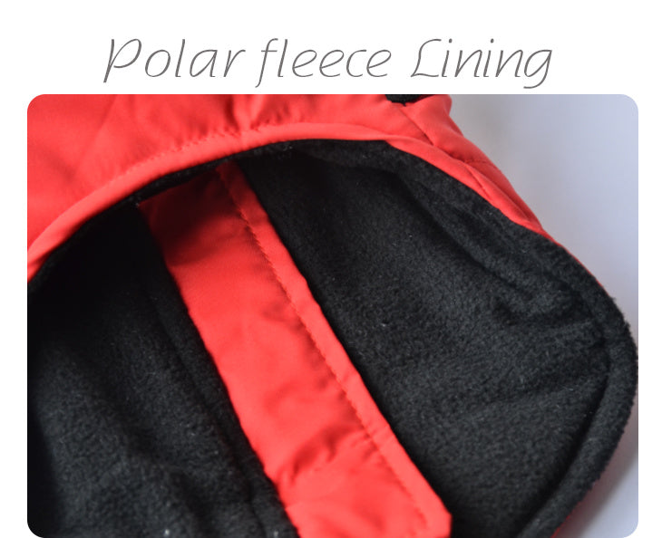 Dog Vest with Harness