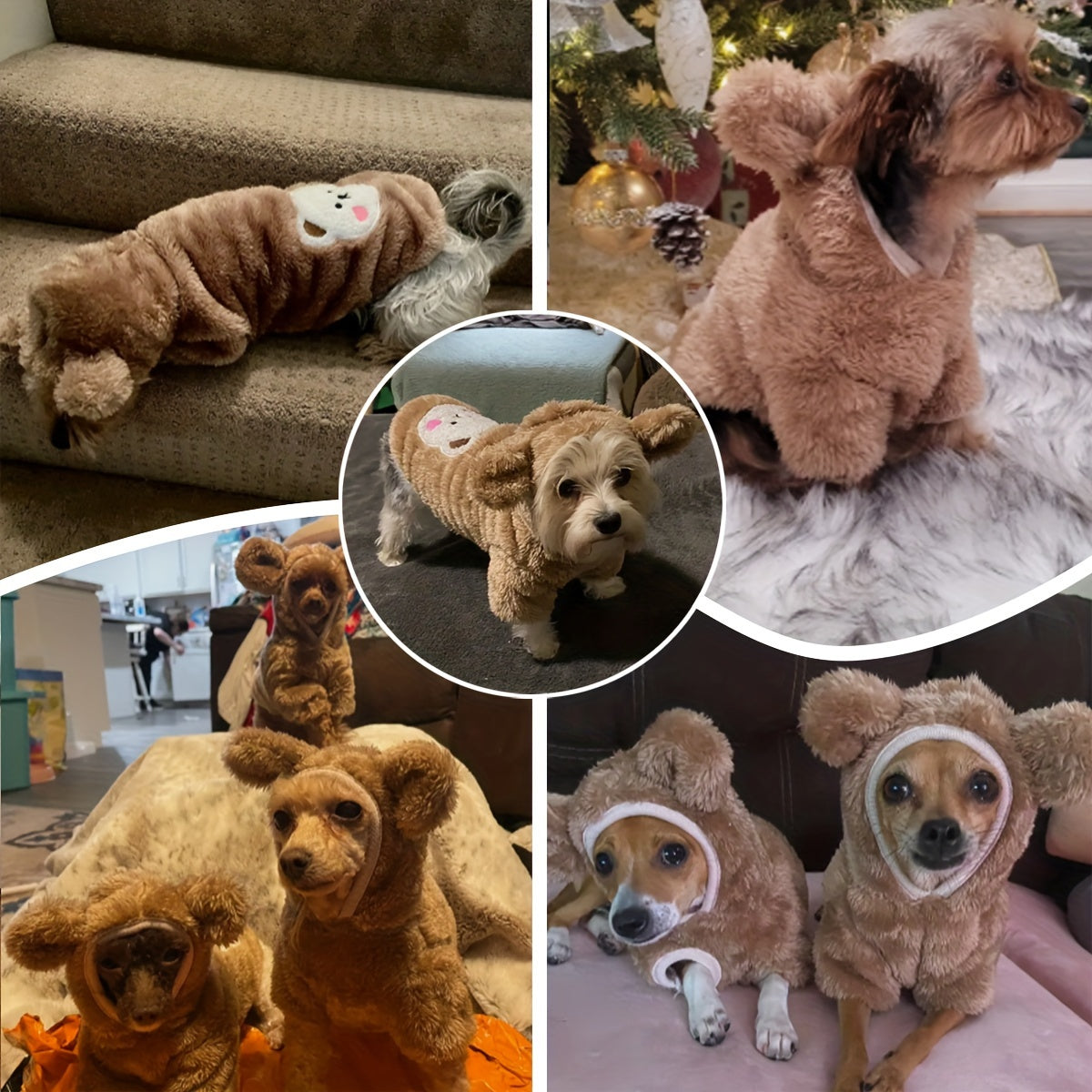 Dog & Cat Pet Bear Costume