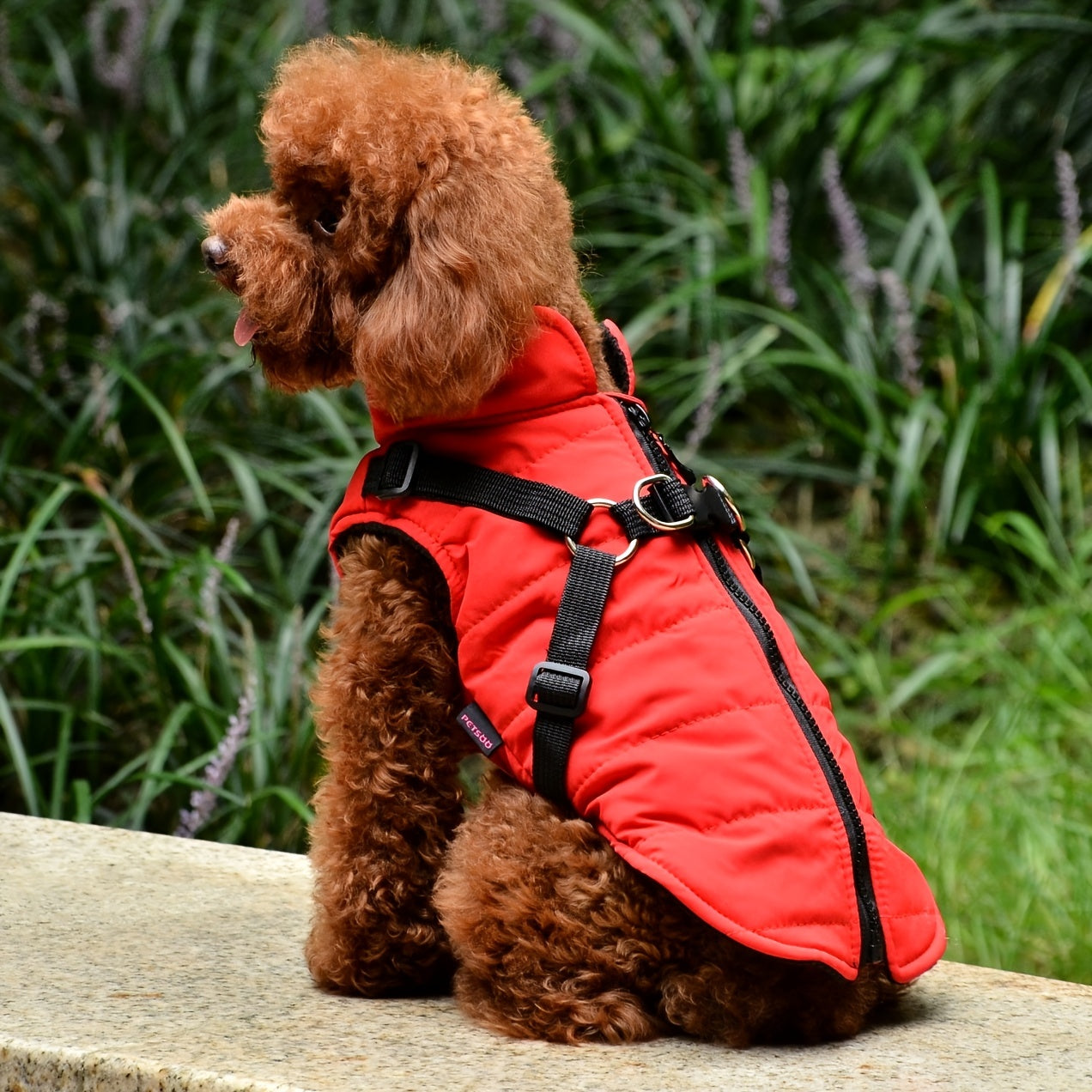 Dog Vest with Harness