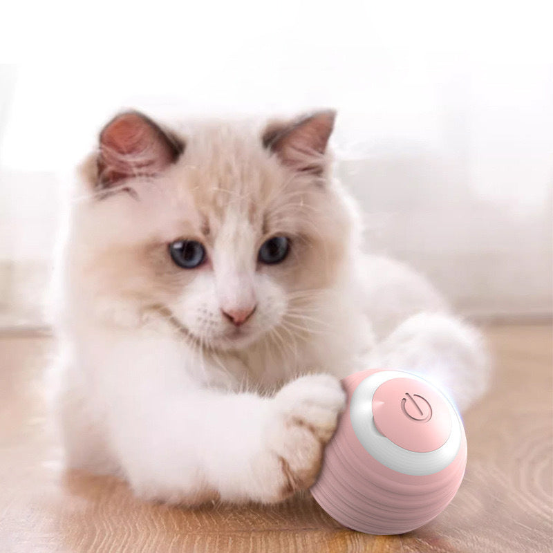 Interactive Cat Toy Bal