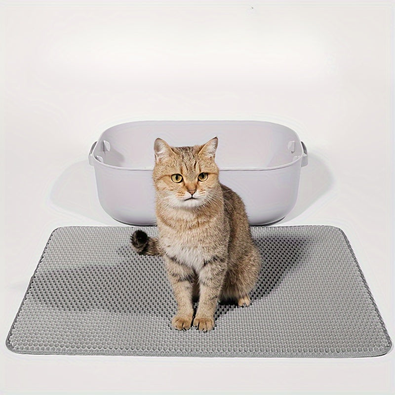 Cat Litter Mat Double Layer