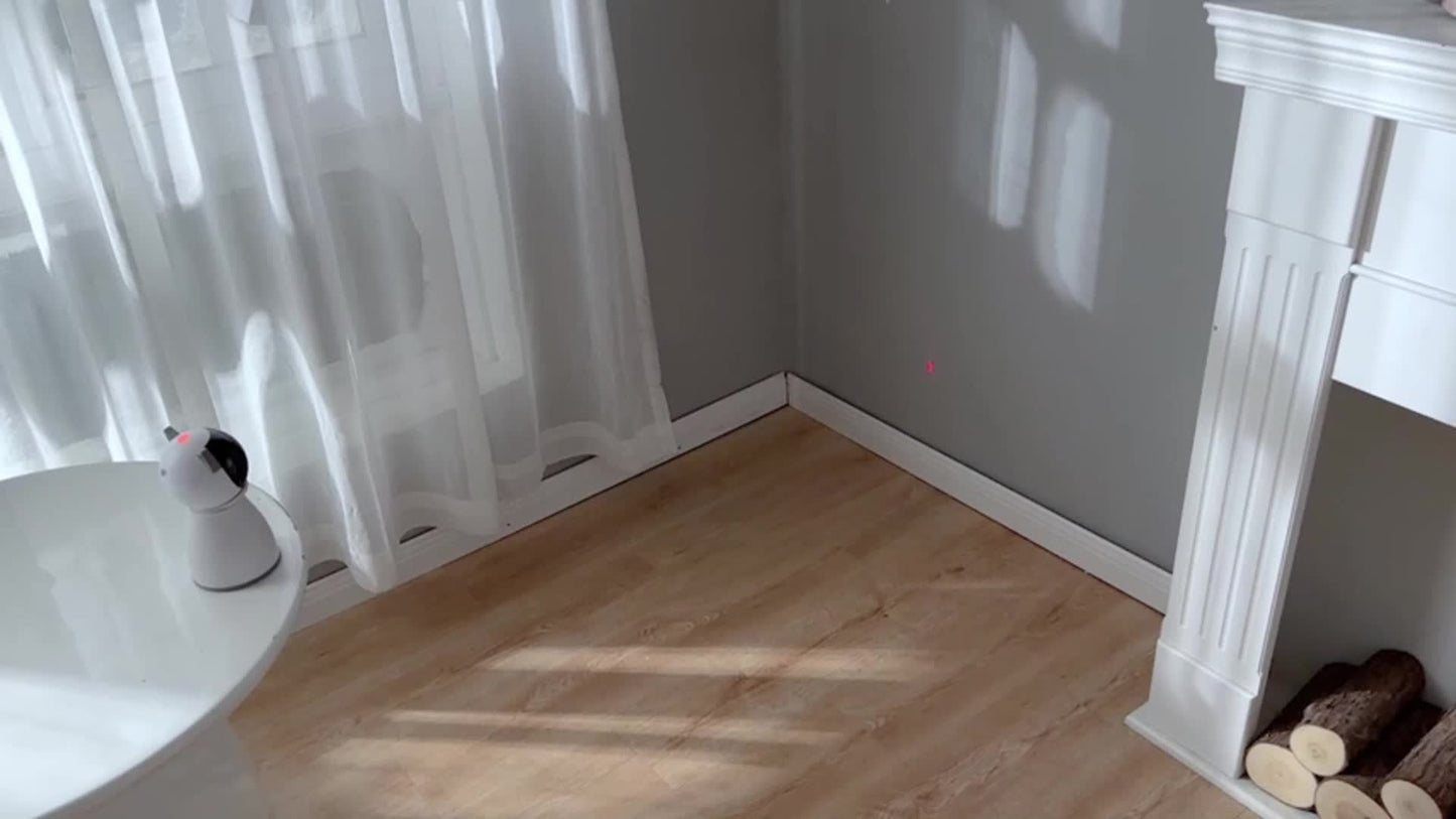 Interactive Automatic Cat Laser Toy