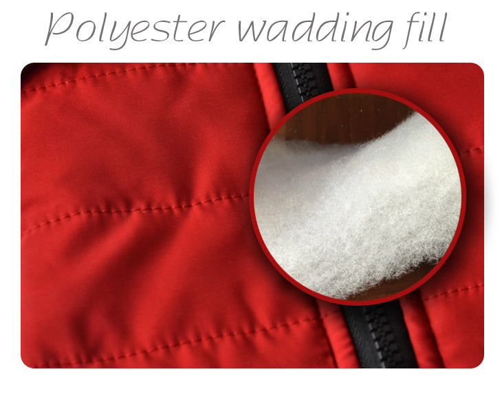 Dog Vest with Harness