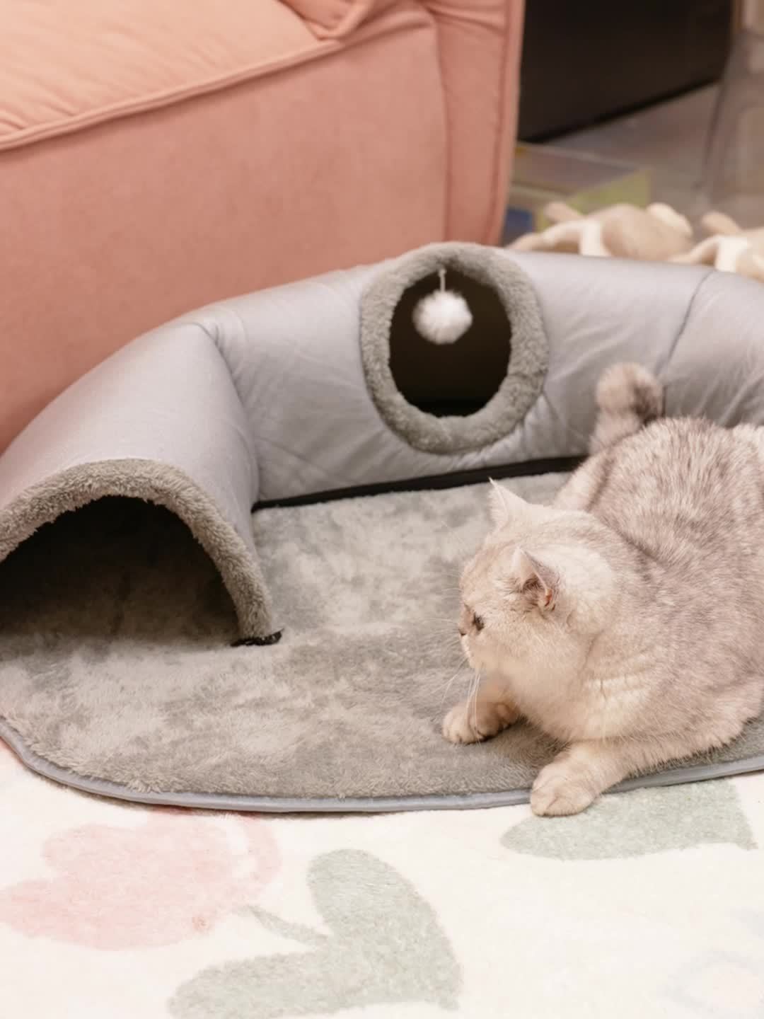 3-in-1 Cat Tunnel Bed & Playhouse