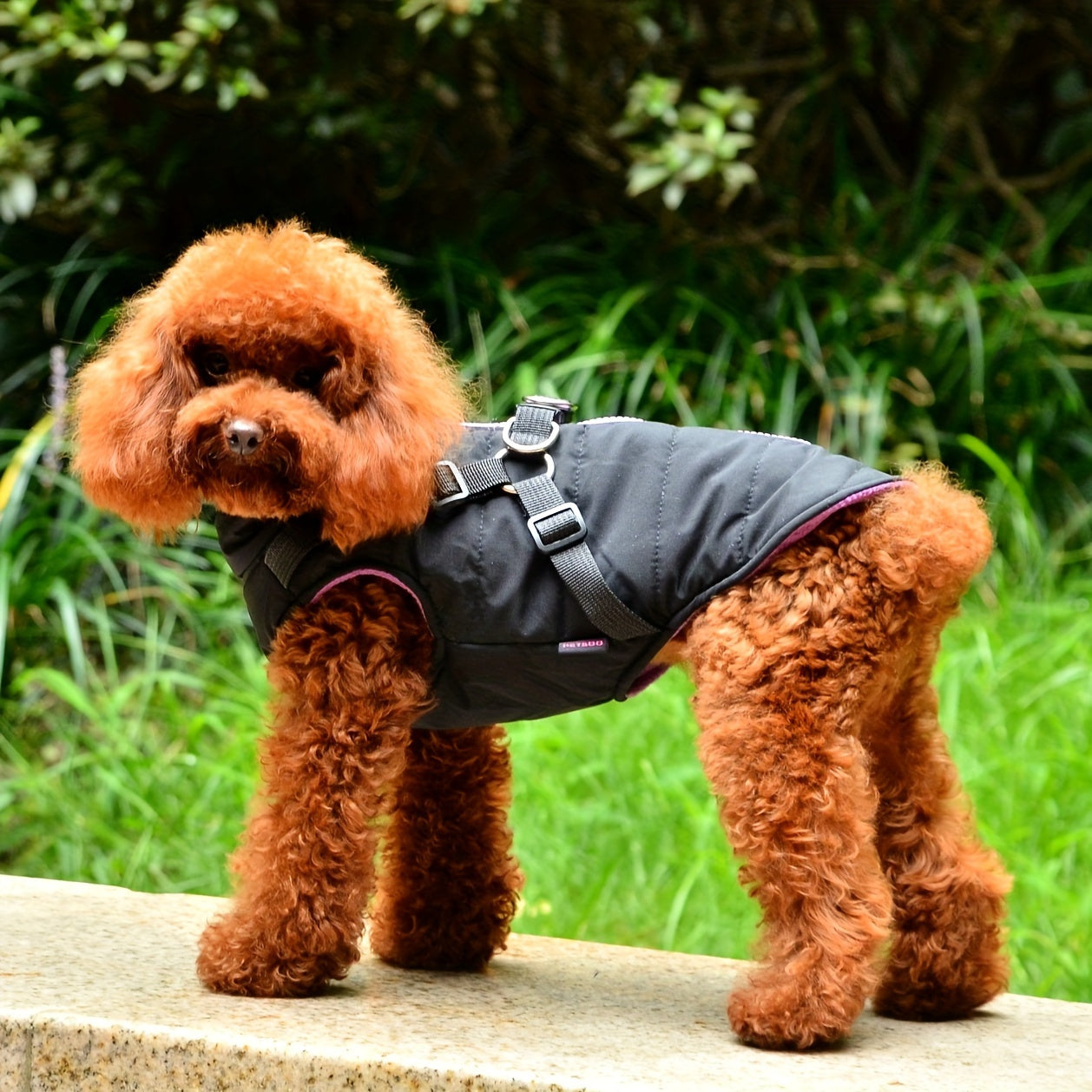 Dog Vest with Harness