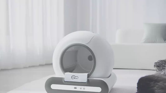 Automatic Self-Cleaning Cat Litter Box